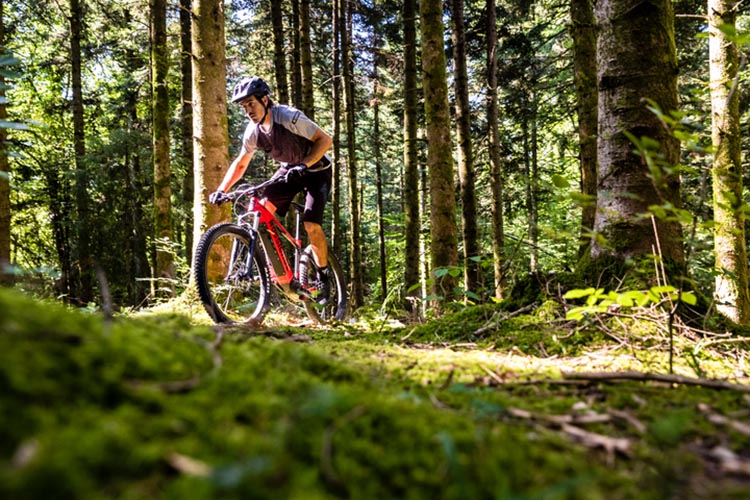 Fun & actie - een biker - mountainbike verhuur-Klante-Winterberg-over heuvel & dal!