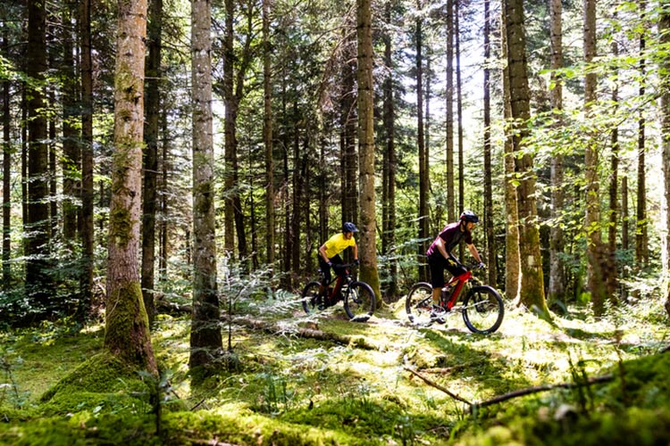 Fun & actie - twee fietsers - mountainbike verhuur-Klante-Winterberg-over heuvel & dal!